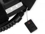 LIGHTED GRAB HANDLES