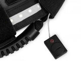 LIGHTED GRAB HANDLES