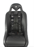 Copy of Pro Armor 4 Point 2" AutoStyle Harness (Passenger Seats)