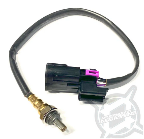 AA Replacement Polaris O2 Sensor - 12mm