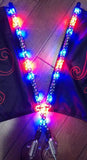2 Foot NoCo LED Trail Whips / Pair of Remote Vertigo Series